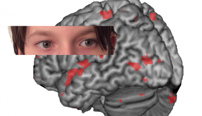 Adolescents engage specific brain regions when they avert their gaze from faces 
